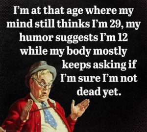 Stupid Bar Memes a0f35d513564c623