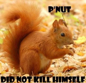 Stupid Bar Memes a480cc1007f72aa3