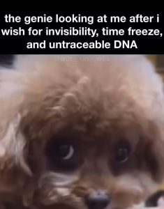 Stupid Bar Memes aNDpAebs700b