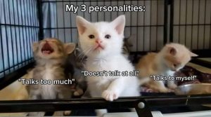 Stupid Bar Memes aRB7ojGssb