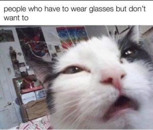 Stupid Bar Memes an7Qjqbs700b