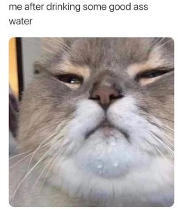Stupid Bar Memes aqynW8Pssb
