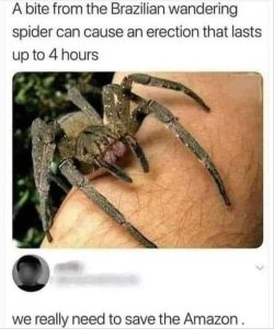 Stupid Bar Memes avesthesamazon