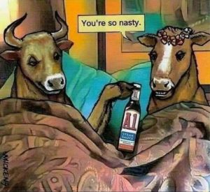 Stupid Bar Memes avyzY1Zs700b