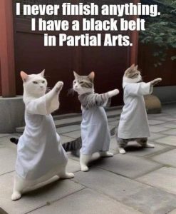 Stupid Bar Memes b091a8c9f1039d87