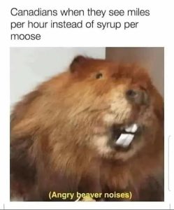 Stupid Bar Memes b89c7b18e7c92aa4
