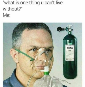 Stupid Bar Memes ba518d05c7070ba6
