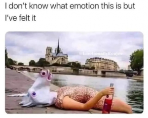 Stupid Bar Memes baee976c0bcff384