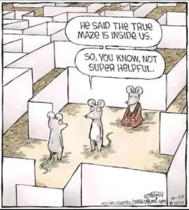 Stupid Bar Memes c42d1847d573d331