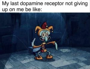 Stupid Bar Memes ceptorsme