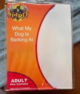 Stupid Bar Memes d428415fd8993a91