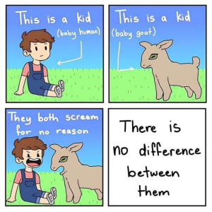 Stupid Bar Memes d802fd4bb300d0e1