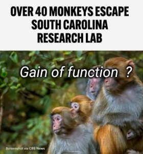 Stupid Bar Memes dc54a35c79582ff6