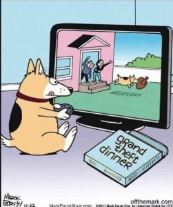 Stupid Bar Memes dogsgrandstheftsdinnersvideosgam