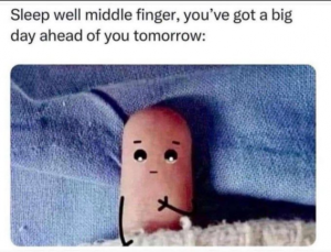 Stupid Bar Memes e09472e6e3349d97