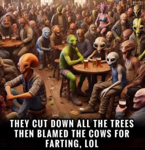 Stupid Bar Memes essblamescows