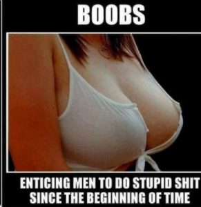 Stupid Bar Memes f75005ce361e216a