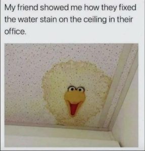 Stupid Bar Memes f85e73a42fa19831