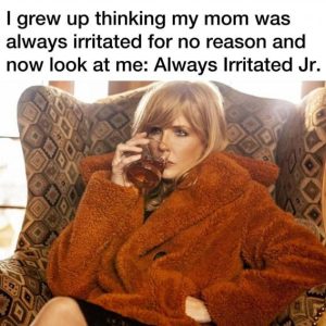 Stupid Bar Memes fa097aa37b34b6b8