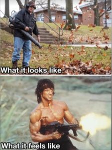 Stupid Bar Memes ingsleaves