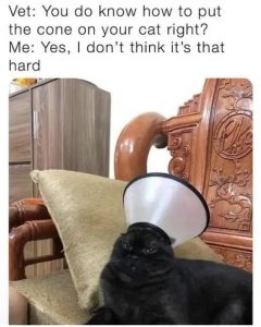 Stupid Bar Memes lo9Q4lJs9999b6