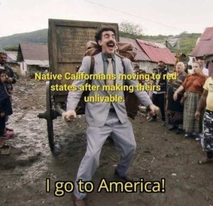 Stupid Bar Memes natiingsredss