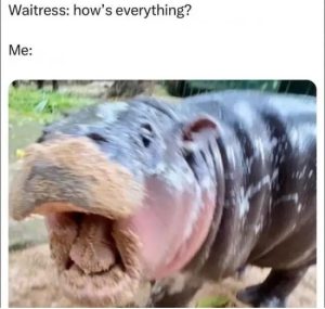 Stupid Bar Memes ny7ZdGc