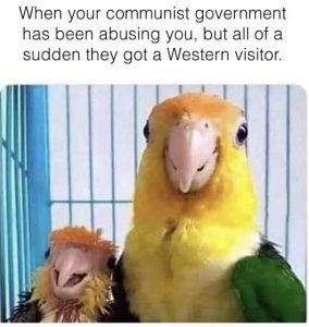Stupid Bar Memes ommunistsswhen