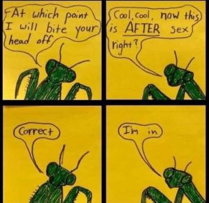 Stupid Bar Memes pitesheadsoffsaft
