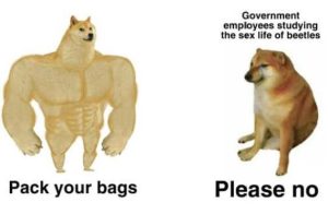 Stupid Bar Memes rnmentsemploy
