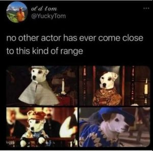 Stupid Bar Memes rsthisskindsofsrang