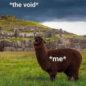 Stupid Bar Memes sJSNT1N