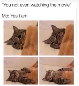 Stupid Bar Memes tchingsthesmovie