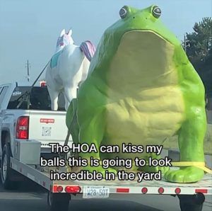 Stupid Bar Memes tingsthesfrog