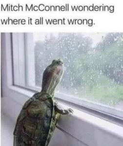 Stupid Bar Memes tleswonderswh