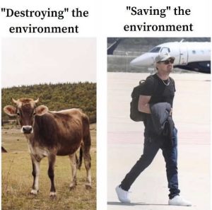 Stupid Bar Memes troyingsenvironment