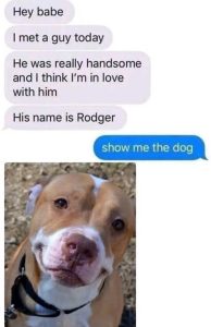 Stupid Bar Memes uysshowsmesdog