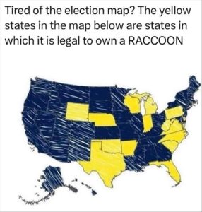 Stupid Bar Memes whensyousseesmaps