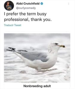 Stupid Bar Memes youresbirds