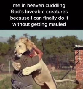 Stupid Bar Memes yourescreatures