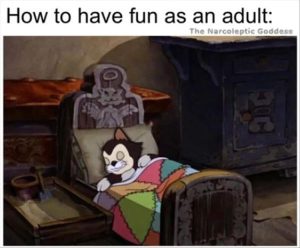Stupid Bar Memes youreshavingsfun