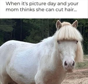 Stupid Bar Memes youresphotos