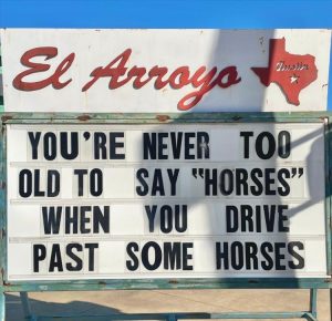 Stupid Bar Memes youreswantingshorses