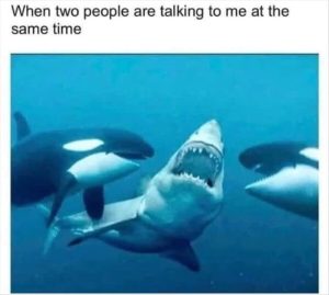 Stupid Bar Memes youreswantingstostalk