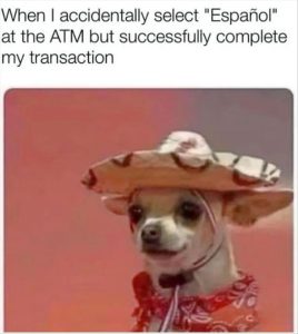 Stupid Bar Memes youreswantingsyoursmoney