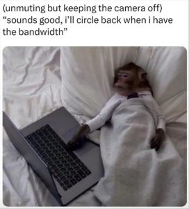 Stupid Bar Memes youresweirdsandstired