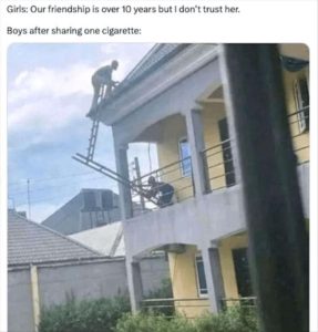 Stupid Bar Memes youswantstrust