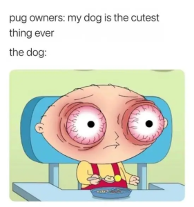 Stupid Bar Memes yssSqm3