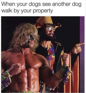 Stupid Bar Memes zsfunnys12s2