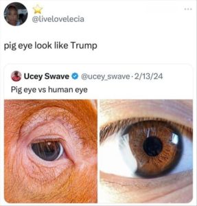 Stupid Bar Memes zsfunnys25s1